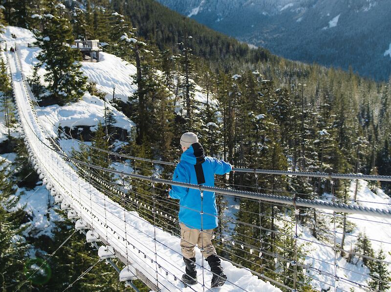 Sea to Sky Gondola, Suspension Bridge, Squamish, View, Attraction