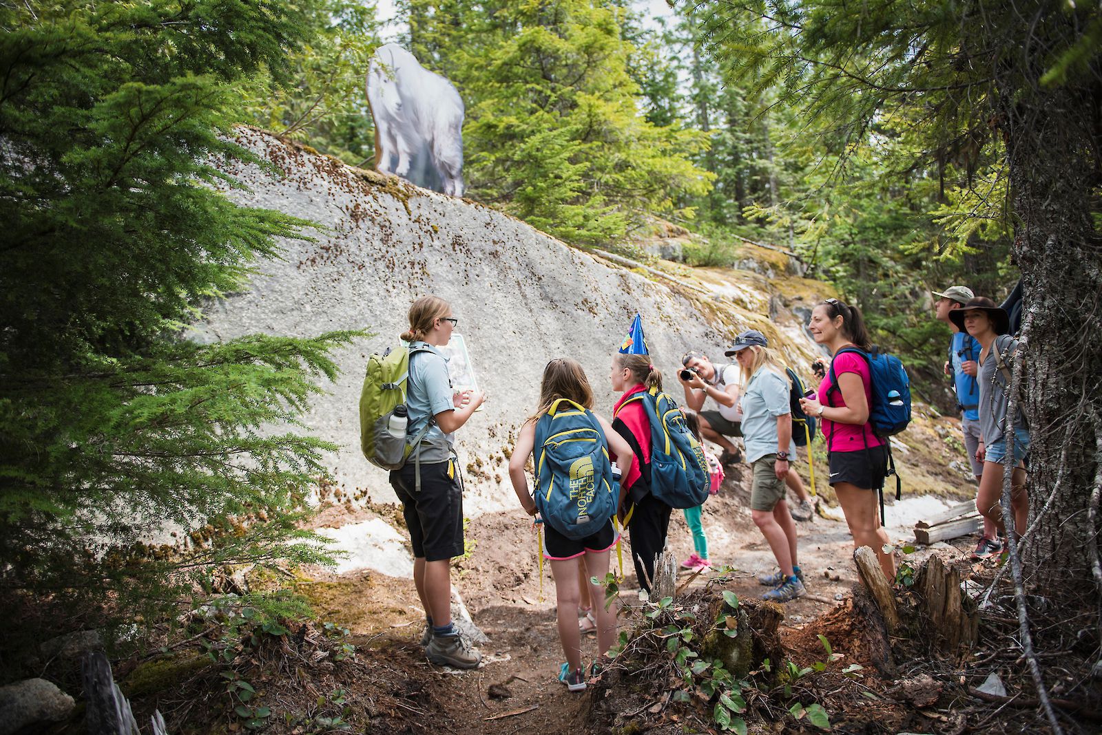 Sea to Sky Gondola Alpine Alley Family Adventure Trail