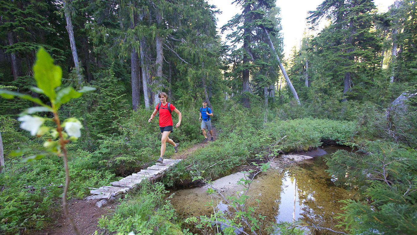 Sea to Sky Gondola Shannon Basin Loop Trail